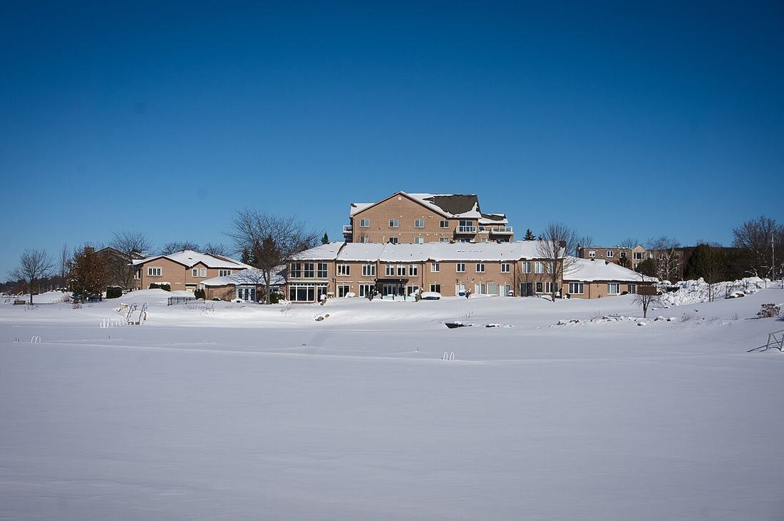 A snowy lakeside in winter