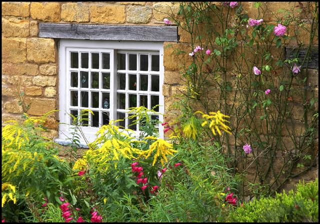 Summer flowers in a cottage garden
