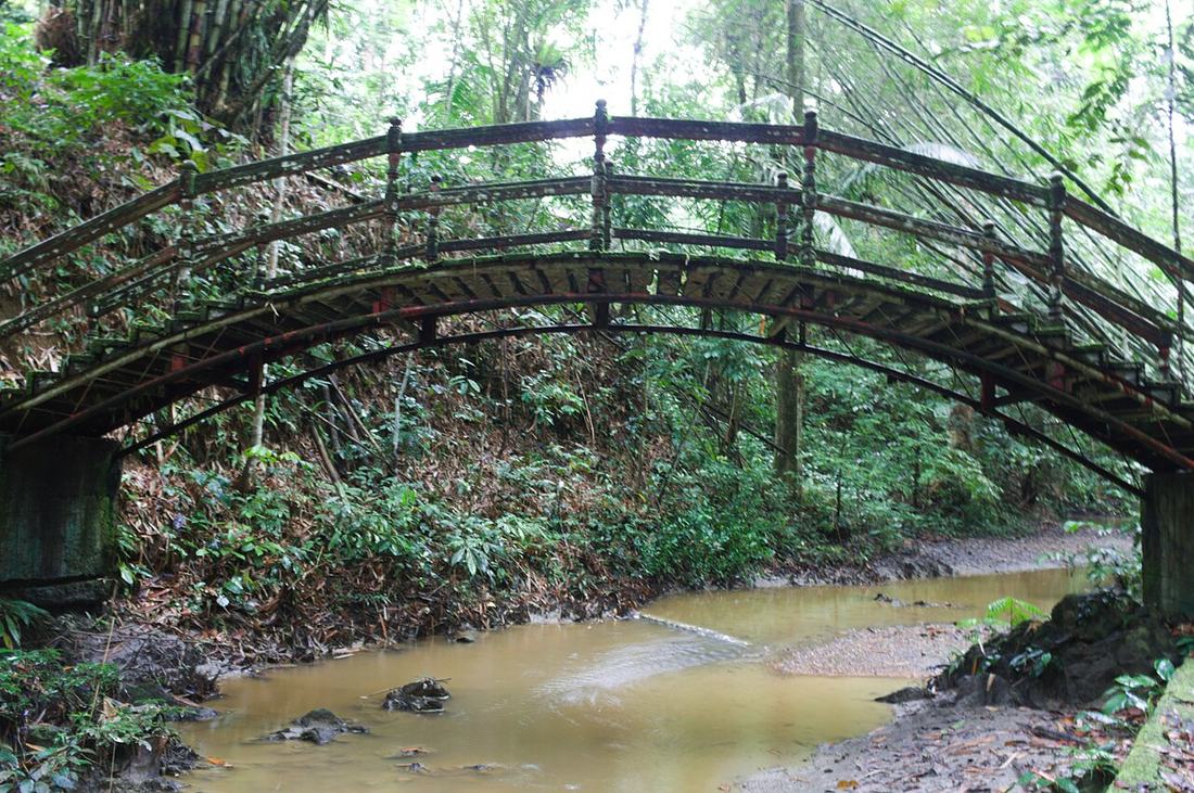 A wooden bridge over a stream